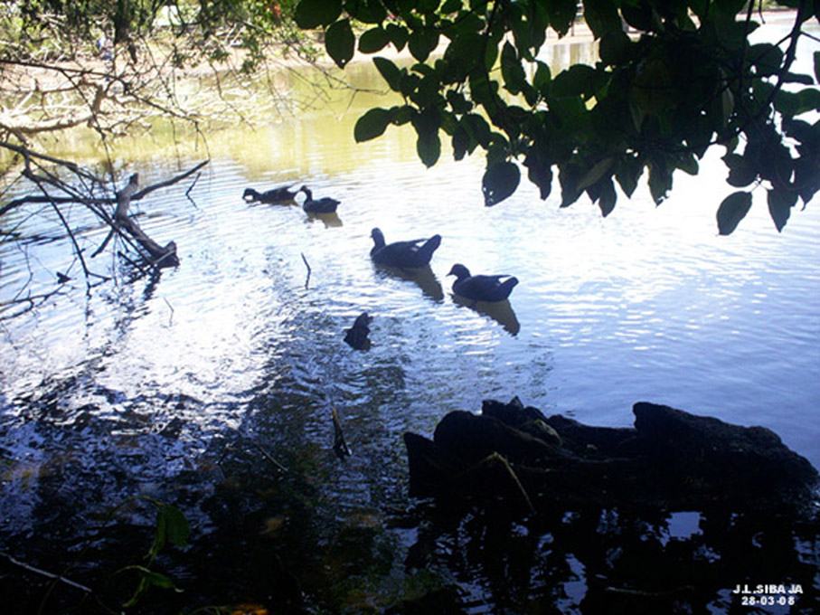 Foto: LAGUNA DE FRAIJANES (Fraijanes De San Isidro De Alajuela) - Fraijanes (Alajuela), Costa Rica