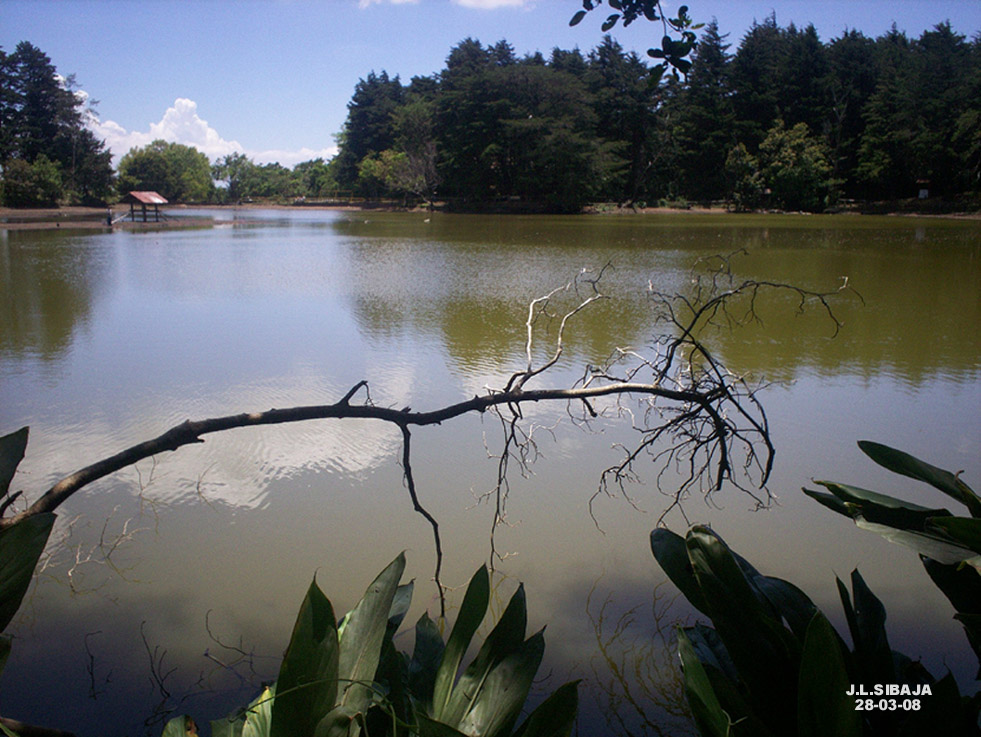 Foto: LAGUNA DE FRAIJANES (Fraijanes De San Isidro De Alajuela) - Fraijanes (Alajuela), Costa Rica