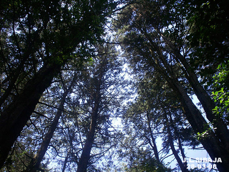 Foto: LAGUNA DE FRAIJANES (Fraijanes De San Isidro De Alajuela) - Fraijanes (Alajuela), Costa Rica