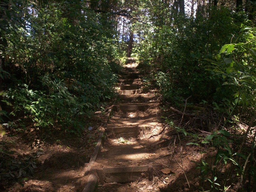 Foto: LAGUNA DE FRAIJANES (Fraijanes De San Isidro De Alajuela) - Fraijanes (Alajuela), Costa Rica