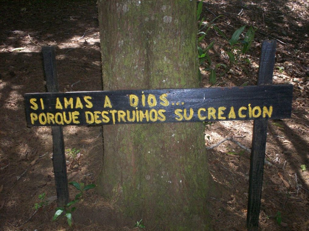 Foto: LAGUNA DE FRAIJANES (Fraijanes De San Isidro De Alajuela) - Fraijanes (Alajuela), Costa Rica