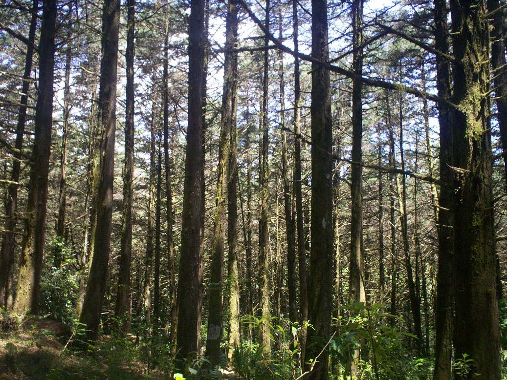 Foto: LAGUNA DE FRAIJANES (Fraijanes De San Isidro De Alajuela) - Fraijanes (Alajuela), Costa Rica