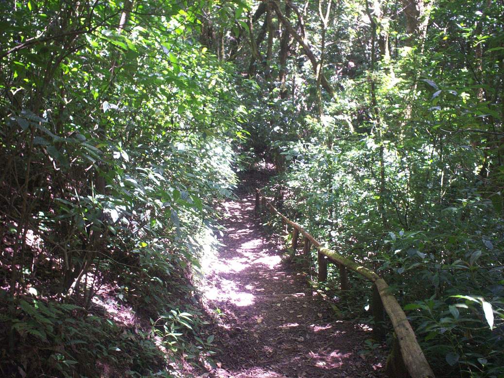 Foto: LAGUNA DE FRAIJANES (Fraijanes De San Isidro De Alajuela) - Fraijanes (Alajuela), Costa Rica