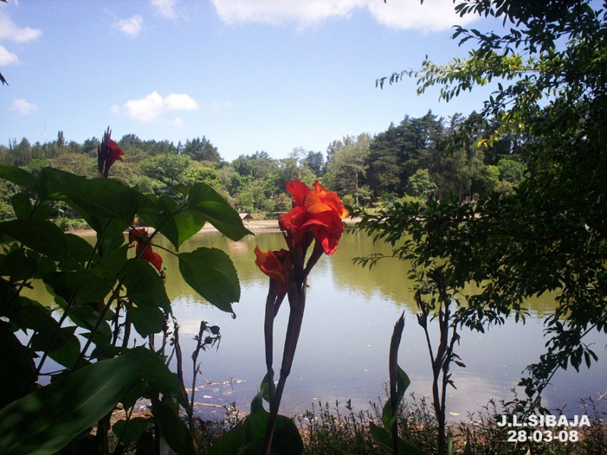Foto: LAGUNA DE FRAIJANES (Fraijanes De San Isidro De Alajuela) - Fraijanes (Alajuela), Costa Rica