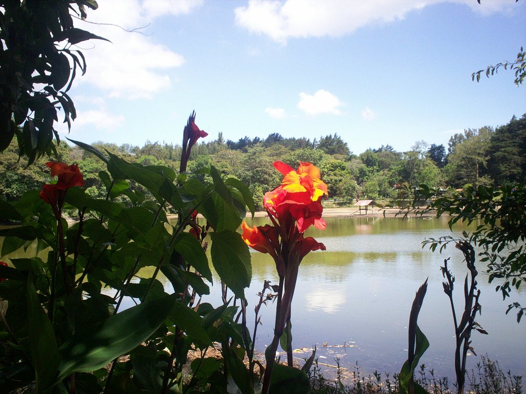 Foto: LAGUNA DE FRAIJANES (Fraijanes De San Isidro De Alajuela) - Fraijanes (Alajuela), Costa Rica