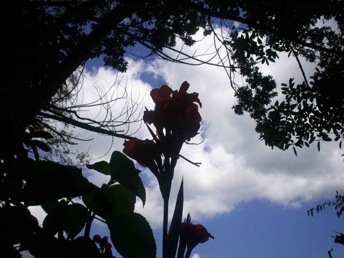 Foto: LAGUNA DE FRAIJANES (Fraijanes De San Isidro De Alajuela) - Fraijanes (Alajuela), Costa Rica