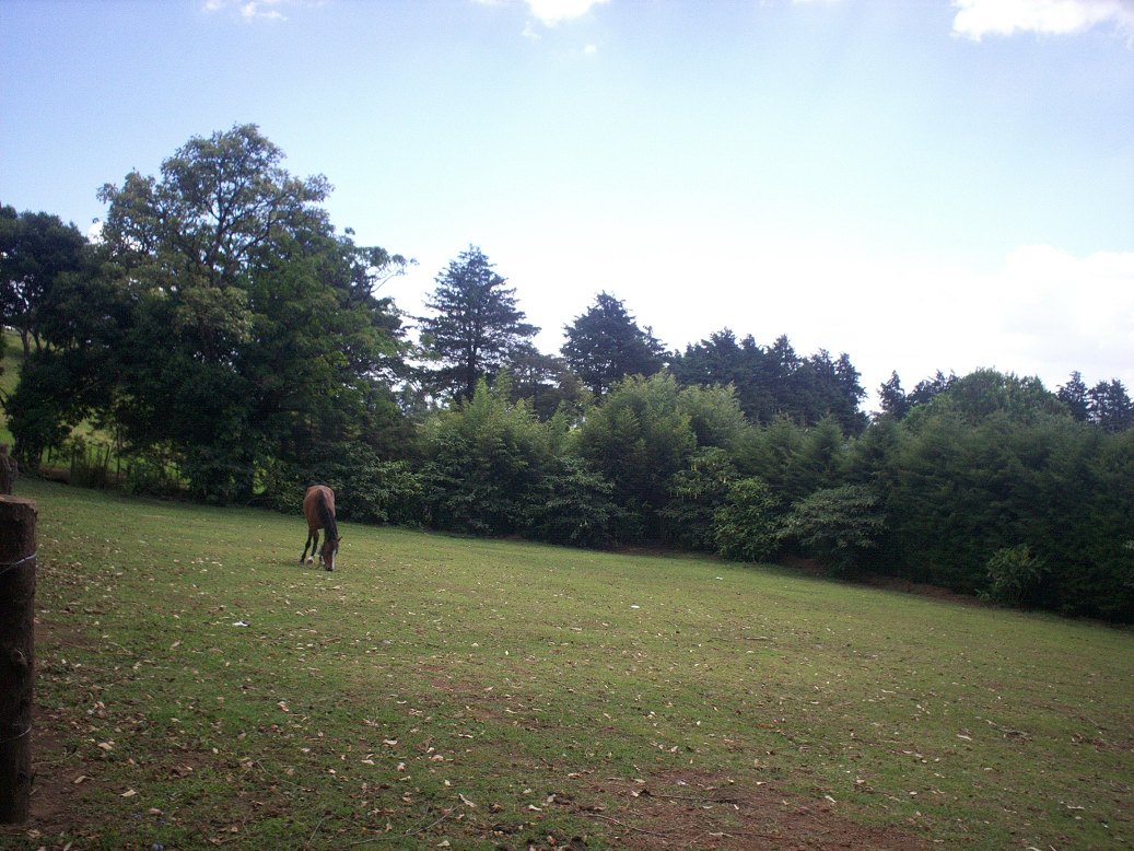 Foto: LAGUNA DE FRAIJANES (Fraijanes De San Isidro De Alajuela) - Fraijanes (Alajuela), Costa Rica