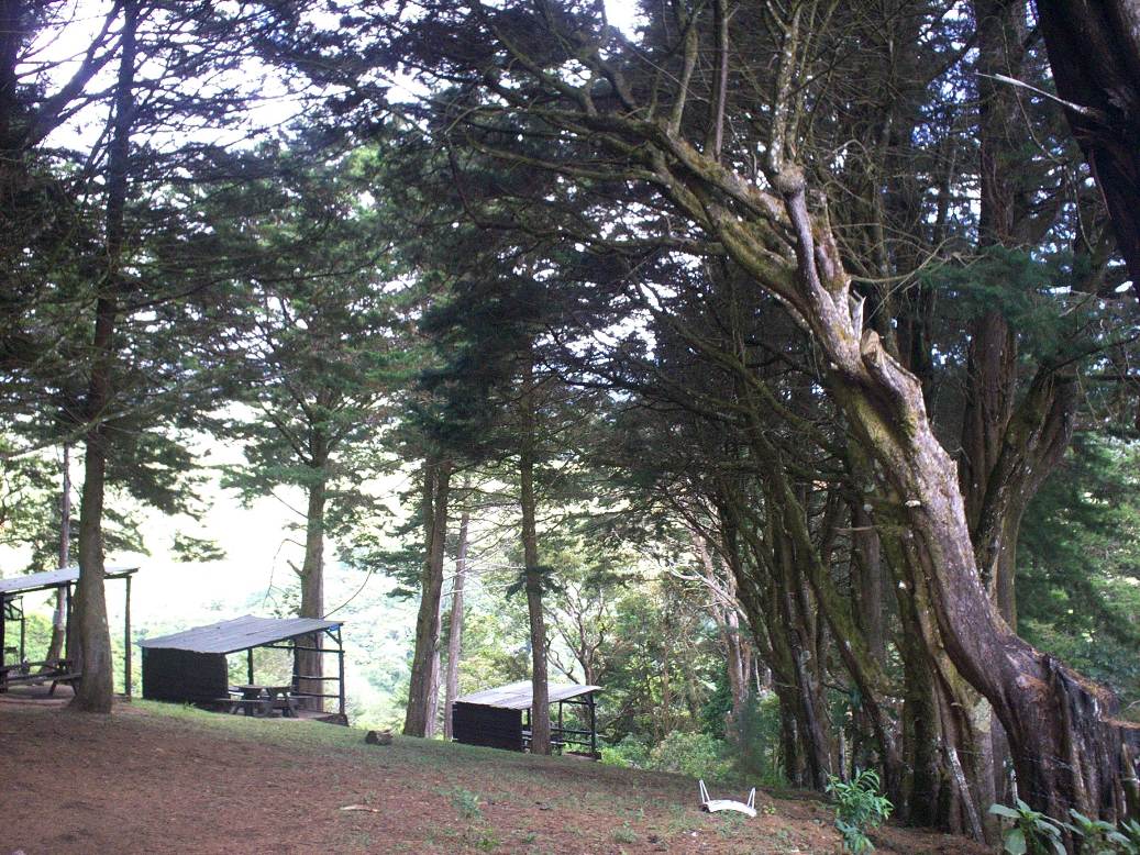 Foto: LAGUNA DE FRAIJANES (Fraijanes De San Isidro De Alajuela) - Fraijanes (Alajuela), Costa Rica