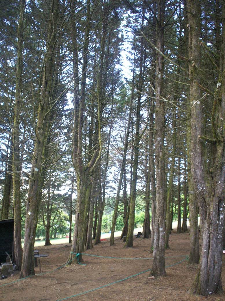 Foto: LAGUNA DE FRAIJANES (Fraijanes De San Isidro De Alajuela) - Fraijanes (Alajuela), Costa Rica