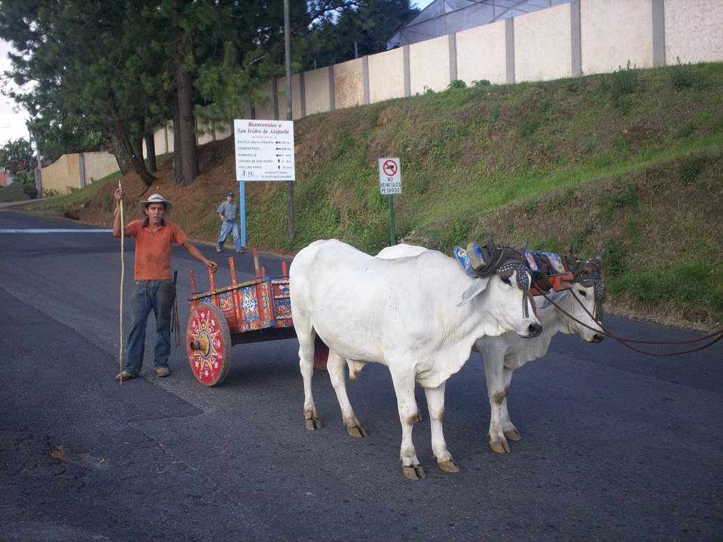 Foto de San Isidro (Alajuela), Costa Rica