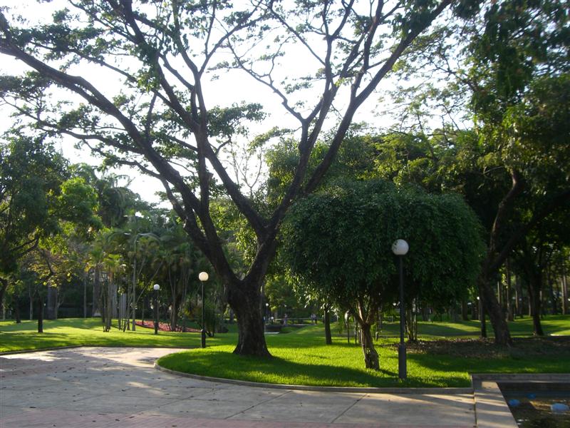 Foto de Valencia, Venezuela