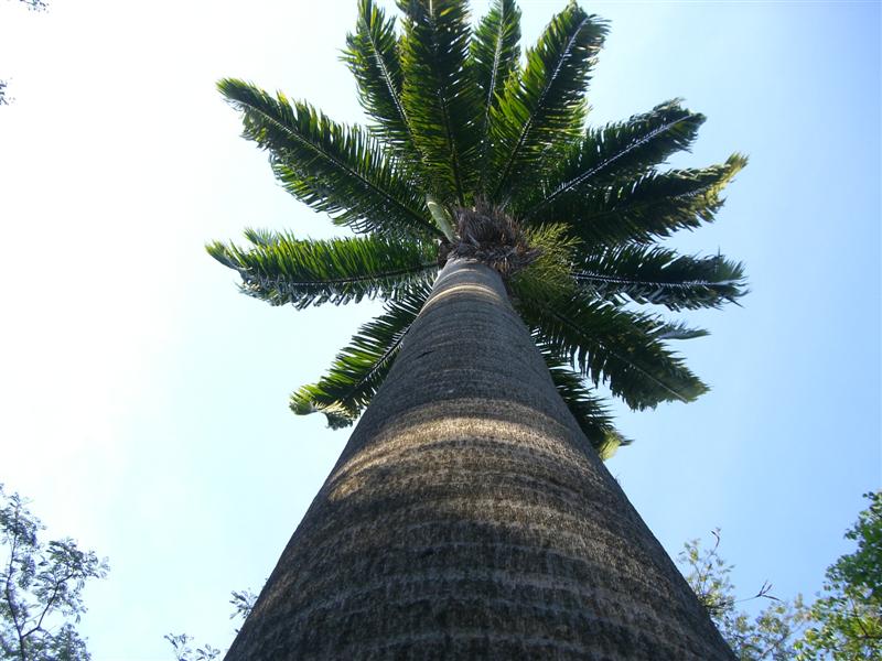 Foto de Valencia, Venezuela