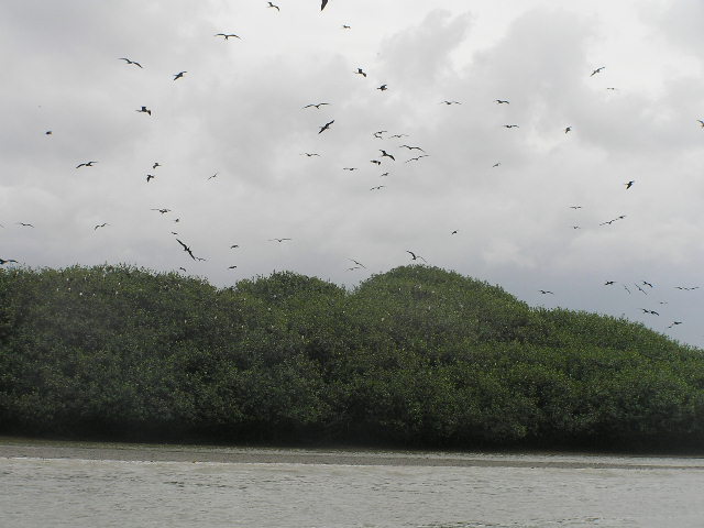 Foto de Tumbes, Perú