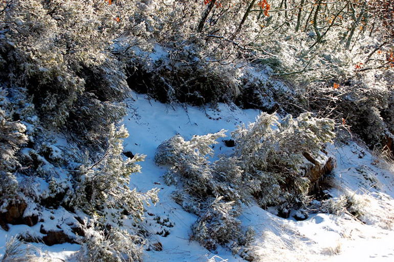 Foto de Riaza (Segovia), España
