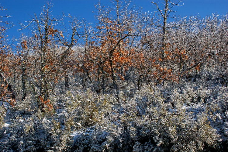 Foto de Riaza (Segovia), España