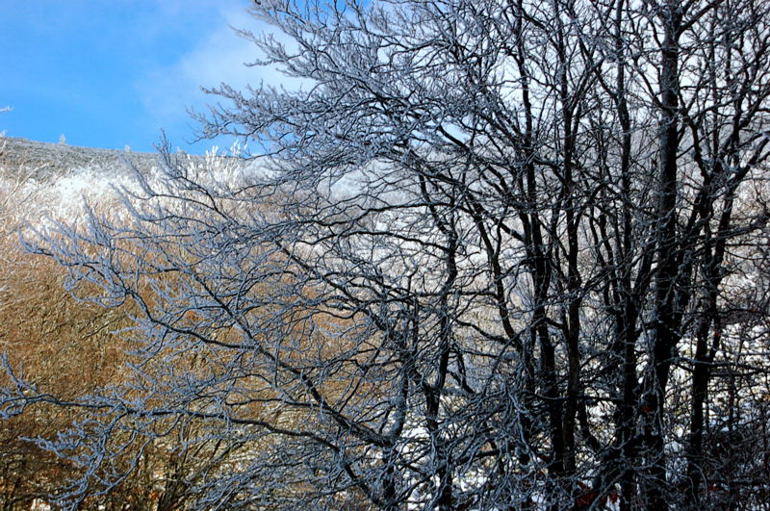 Foto de Riaza (Segovia), España