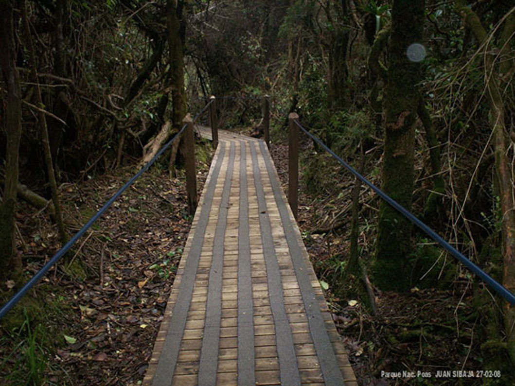 Foto de Poas, Alajuela, Costa Rica