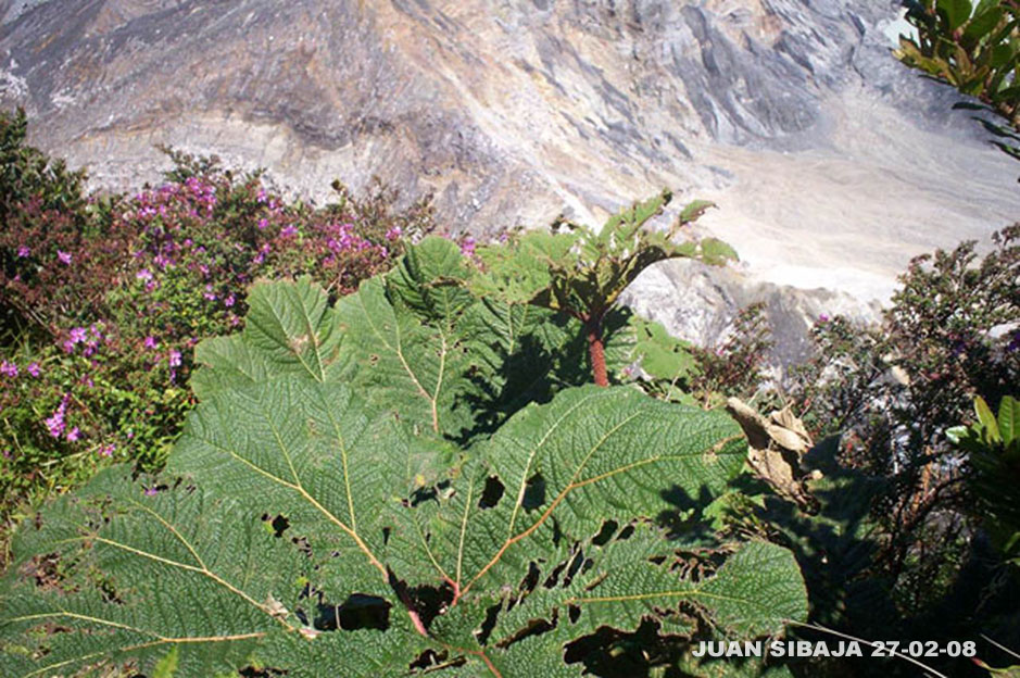 Foto de Poas, Alajuela, Costa Rica