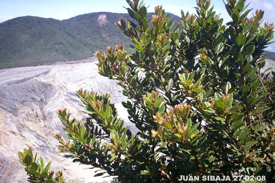 Foto de Poas, Alajuela, Costa Rica