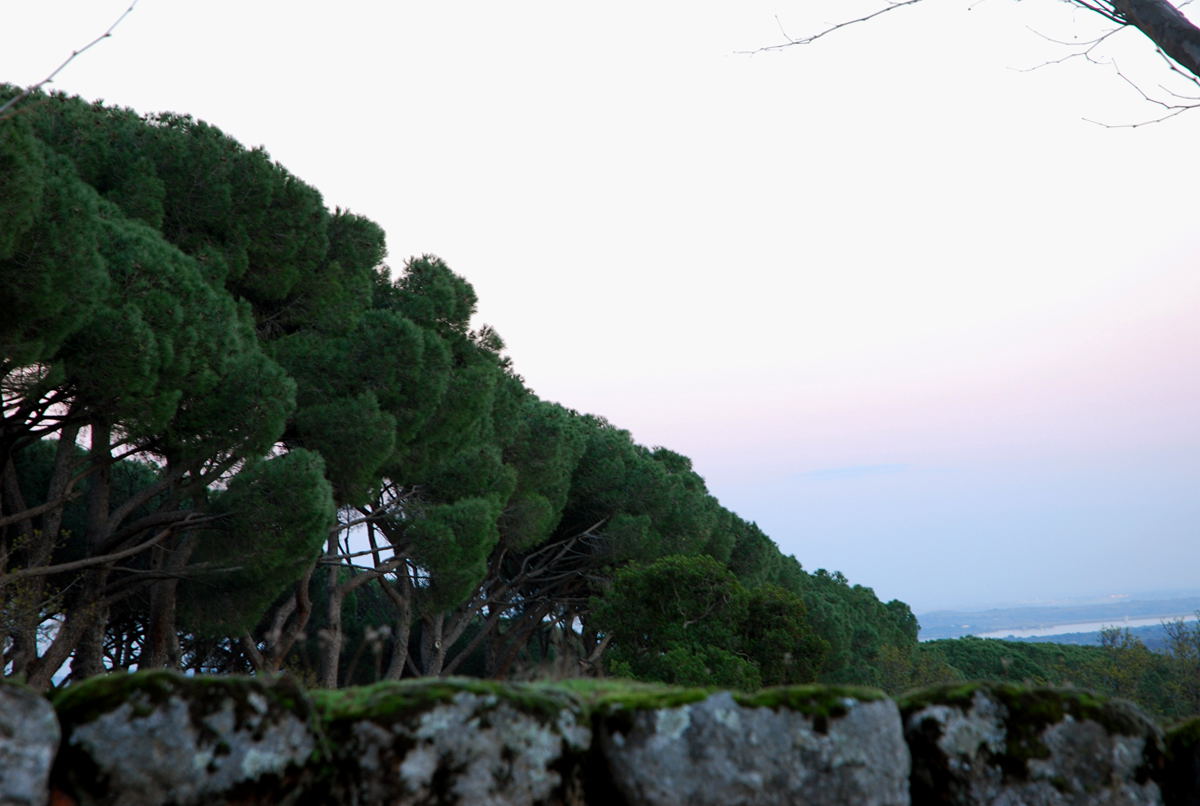 Foto de San Lorenzo de El Escorial (Madrid), España