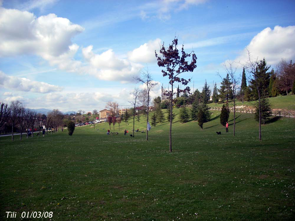 Foto de Oviedo (Asturias), España