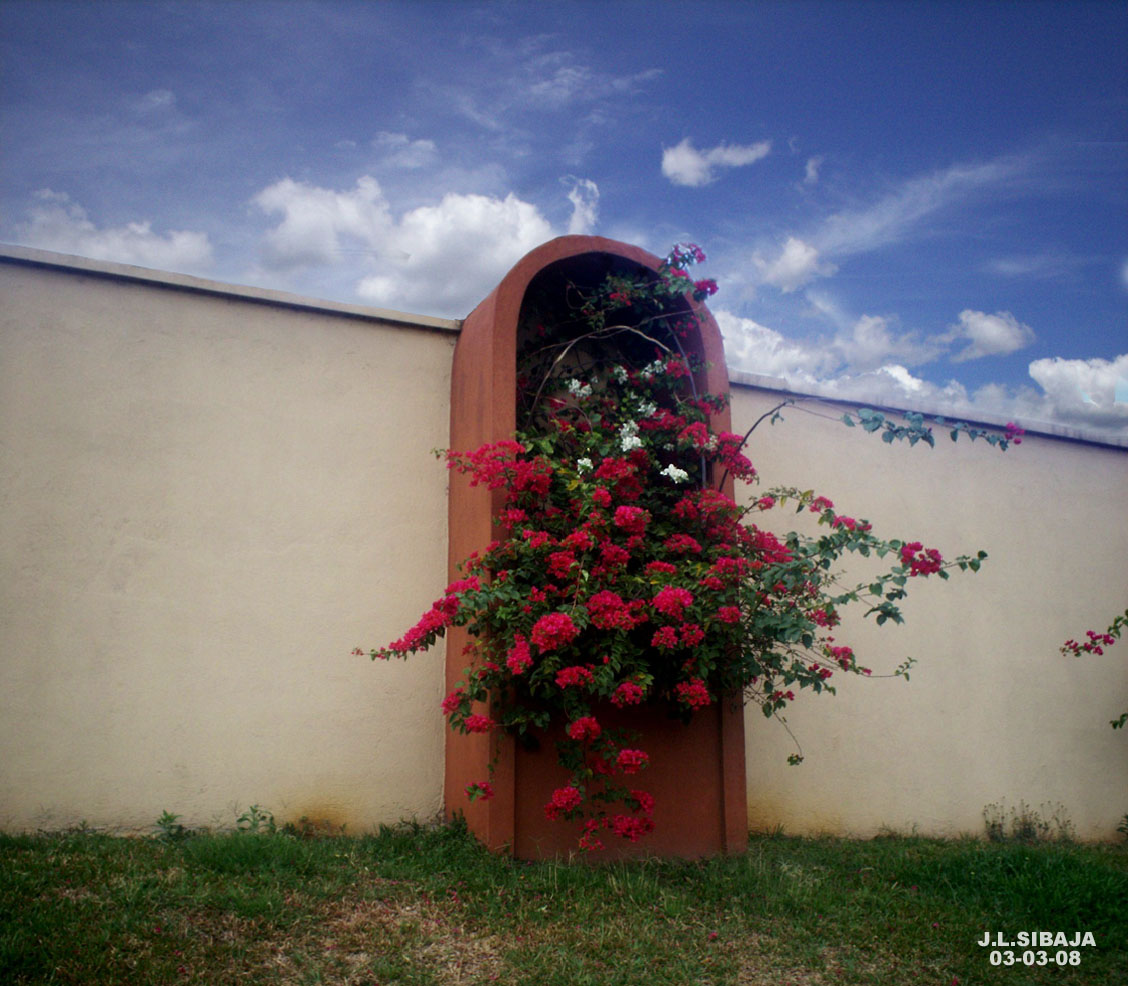 Foto de Alajuela, Costa Rica