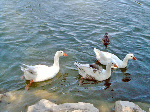 Foto de Móstoles (Madrid), España