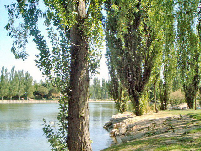 Foto de Móstoles (Madrid), España