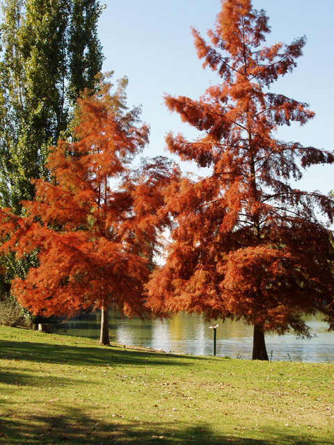 Foto de Móstoles (Madrid), España