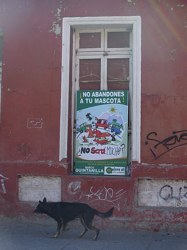 Foto de San José de Maipo, Chile