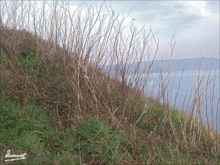 Foto de Fisterra (A Coruña), España