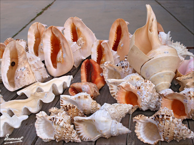 Foto de Fisterra (A Coruña), España