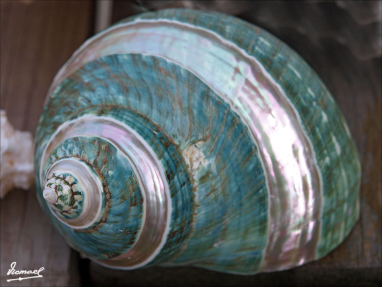 Foto de Fisterra (A Coruña), España