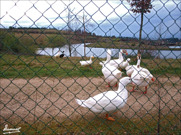 Foto de Santiago de Compostela (A Coruña), España