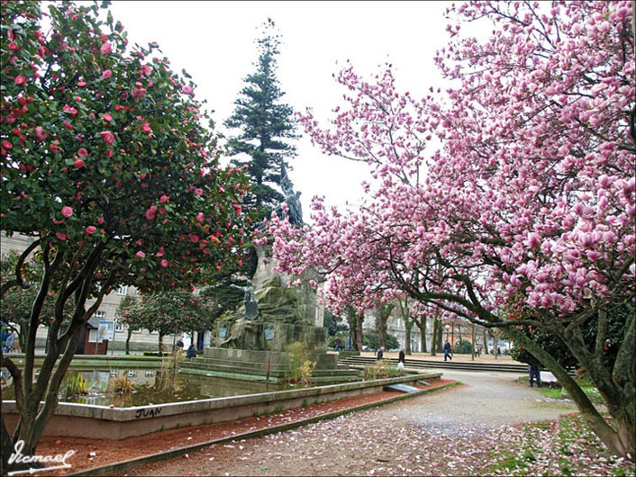 Foto de Pontevedra (Galicia), España