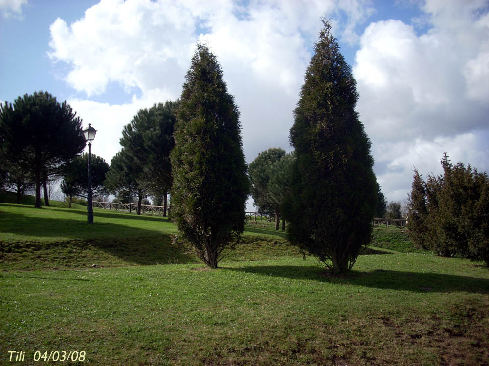 Foto de Oviedo (Asturias), España