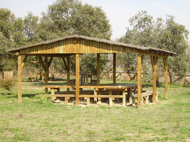 Foto de Daimiel (Ciudad Real), España