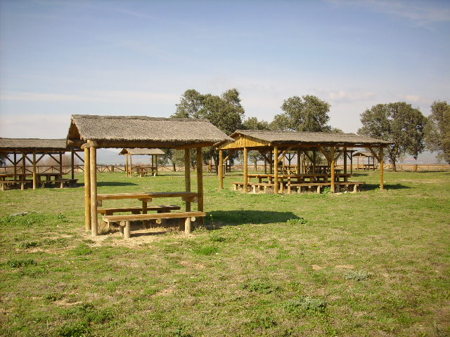 Foto de Daimiel (Ciudad Real), España