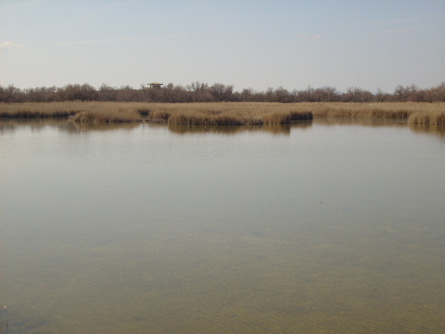 Foto de Daimiel (Ciudad Real), España