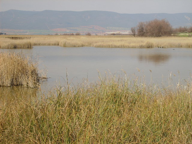 Foto de Daimiel (Ciudad Real), España