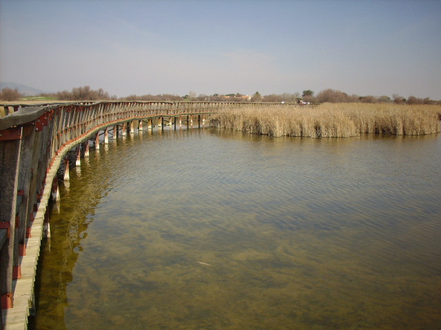 Foto de Daimiel (Ciudad Real), España