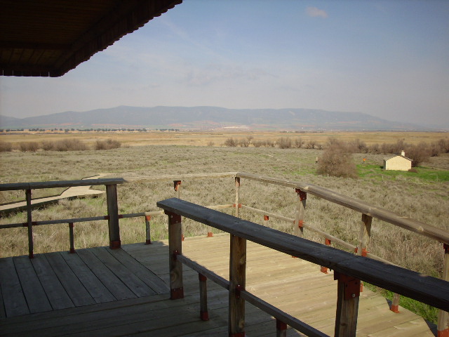 Foto de Daimiel (Ciudad Real), España