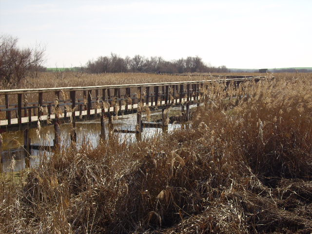 Foto de Daimiel (Ciudad Real), España