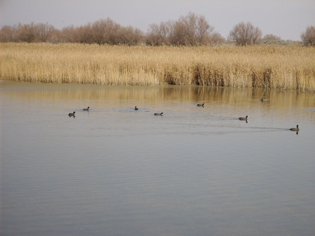 Foto de Daimiel (Ciudad Real), España