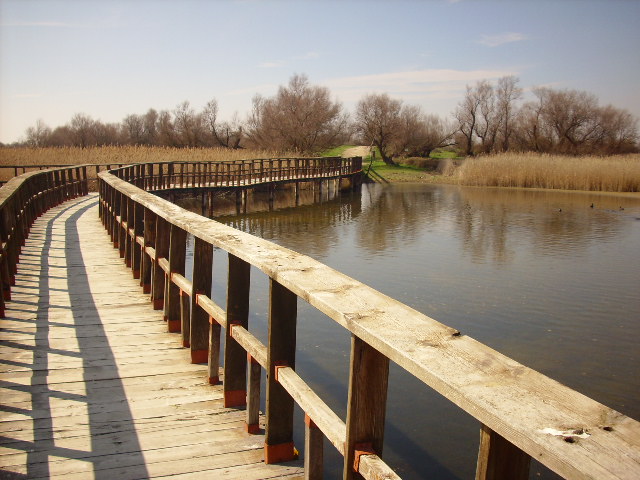 Foto de Daimiel (Ciudad Real), España