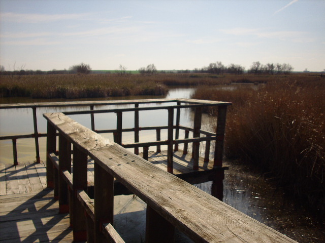 Foto de Daimiel (Ciudad Real), España