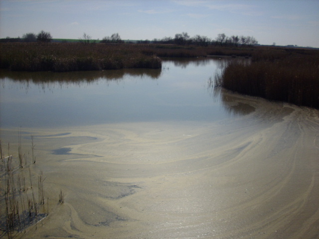 Foto de Daimiel (Ciudad Real), España