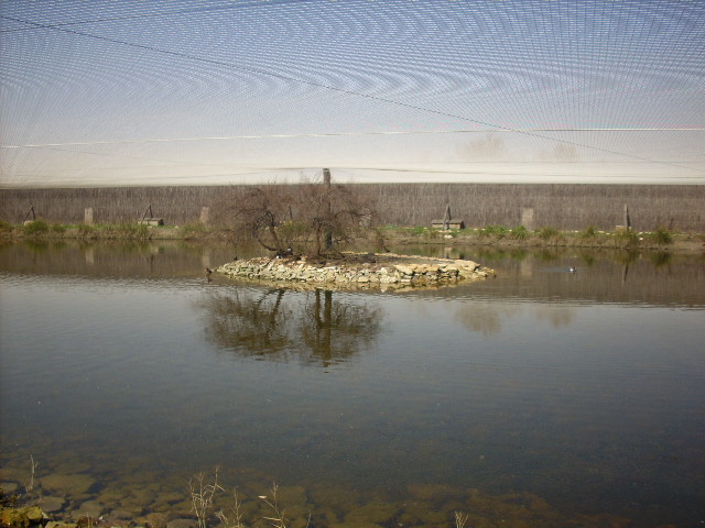 Foto de Daimiel (Ciudad Real), España