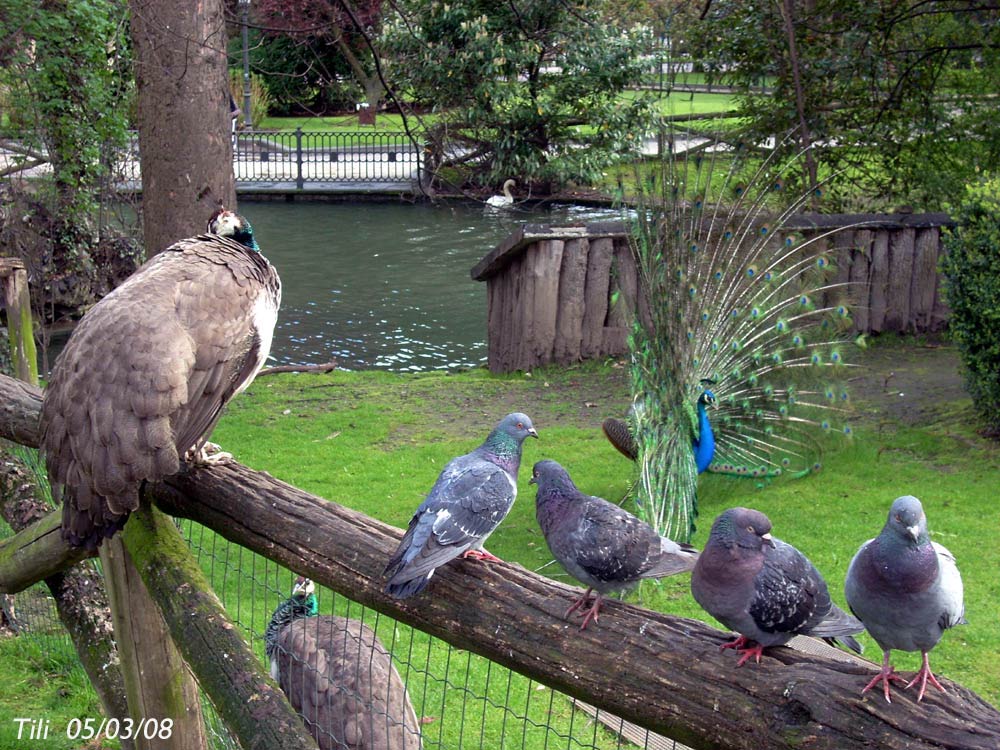 Foto de Oviedo (Asturias), España