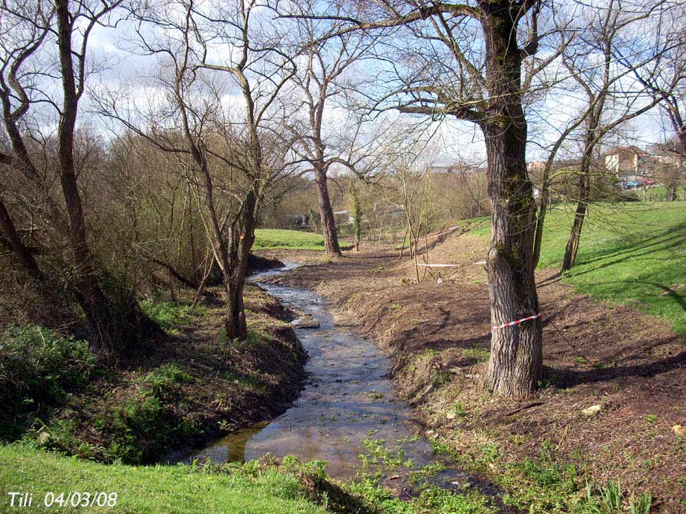 Foto de Oviedo (Asturias), España